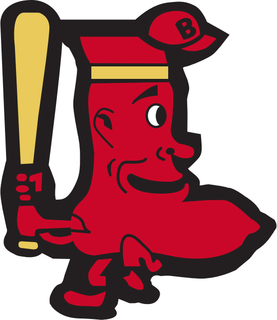 Boston Red Sox 1950-1959 Alternate Logo t shirts DIY iron ons